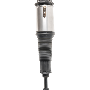 Audi A8 D3 4E  Pneimatiskais spilvens (Priekšpuse)