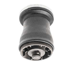 BMW X5 E53 Pneimatiskais spilvens (Aizmugure / pa kreisi)