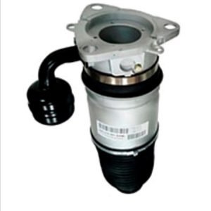 Continental GT Pneimatiskais spilvens (Aizmugure / pa kreisi)