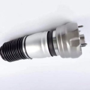 Porsche Panamera Pneimatiskais spilvens (Priekšpuse / pa labi)