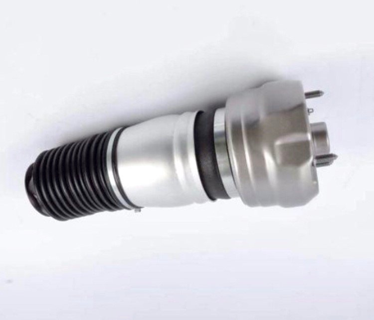 Porsche Panamera Pneimatiskais spilvens (Priekšpuse / pa labi)