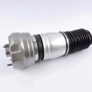 Porsche Panamera Pneimatiskais spilvens (Priekšpuse/kreisā)