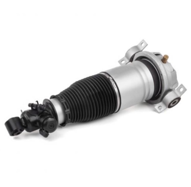 Audi Q7 4L Pneimatiskās atsperes statnis (Beigas / pa labi)