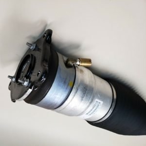 Tesla Model S Pneimatiskais spilvens (Aizmugure / pa labi)