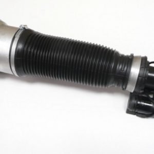 S-Class W220  Pneimatiskās atsperes statnis (Priekšpuse/kreisā)